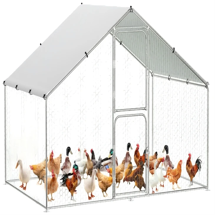 Extra Large Chicken Run