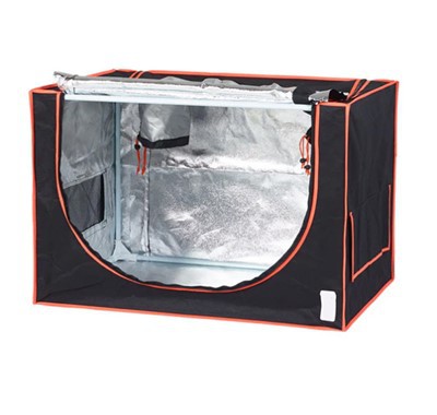 Tined Mini Propagazzjoni