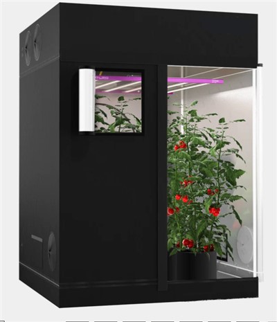 L-Aqwa Bejjiegħ Tinda