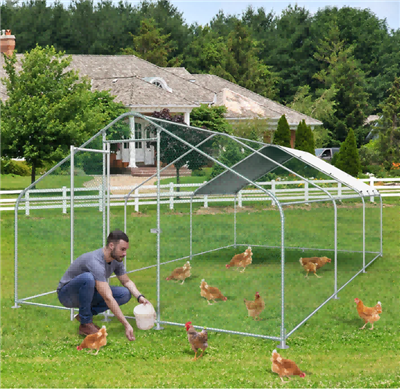 Imxi fil-gaġġa tat-tjur