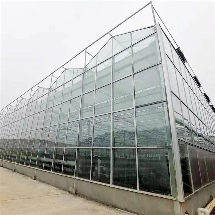 Agricultural Poly Tunnel Green House/Tomato Greenhouse For Sale Tunnel Greenhouse
