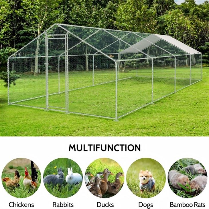 Extra Large Chicken Run